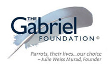 gabrielfoundation1