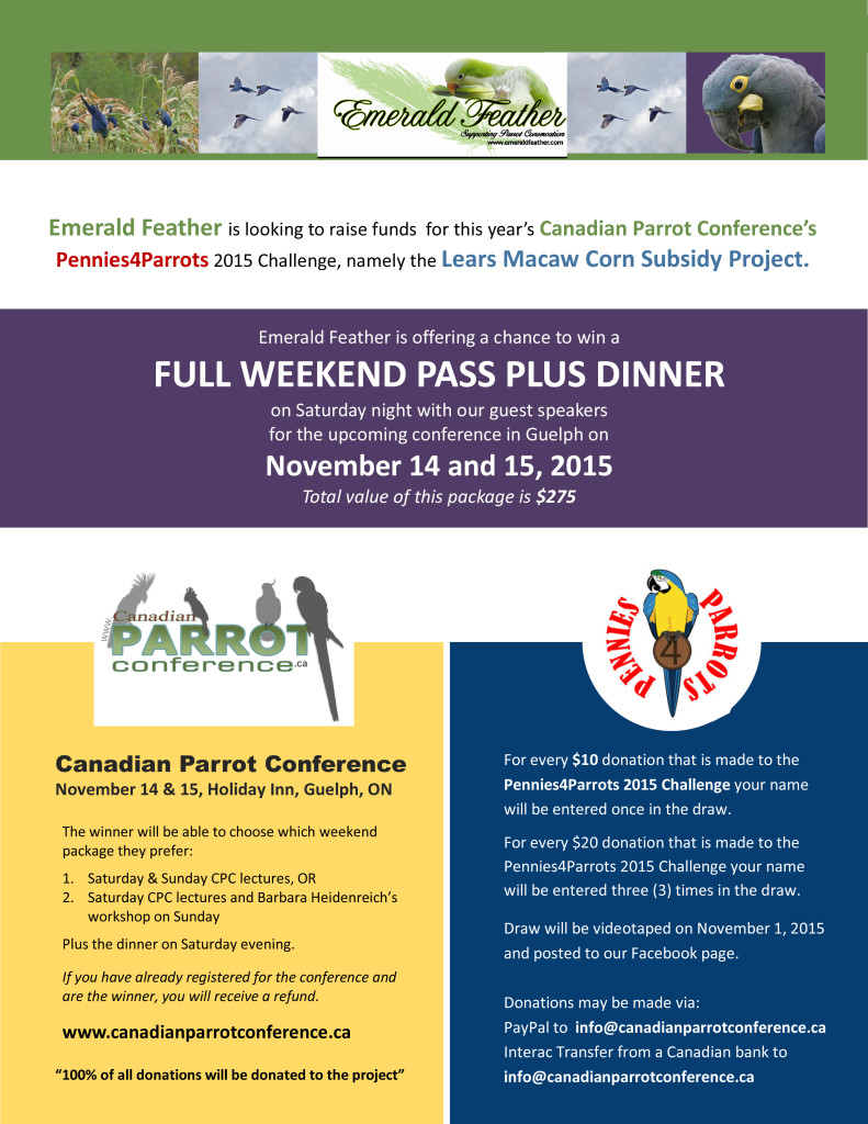 2015CPC-P4Pfundraiserflyer.pub